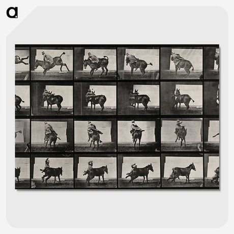 2-12_Eadweard-Muybridge_picture-crop