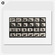 2-12_Eadweard-Muybridge_picture