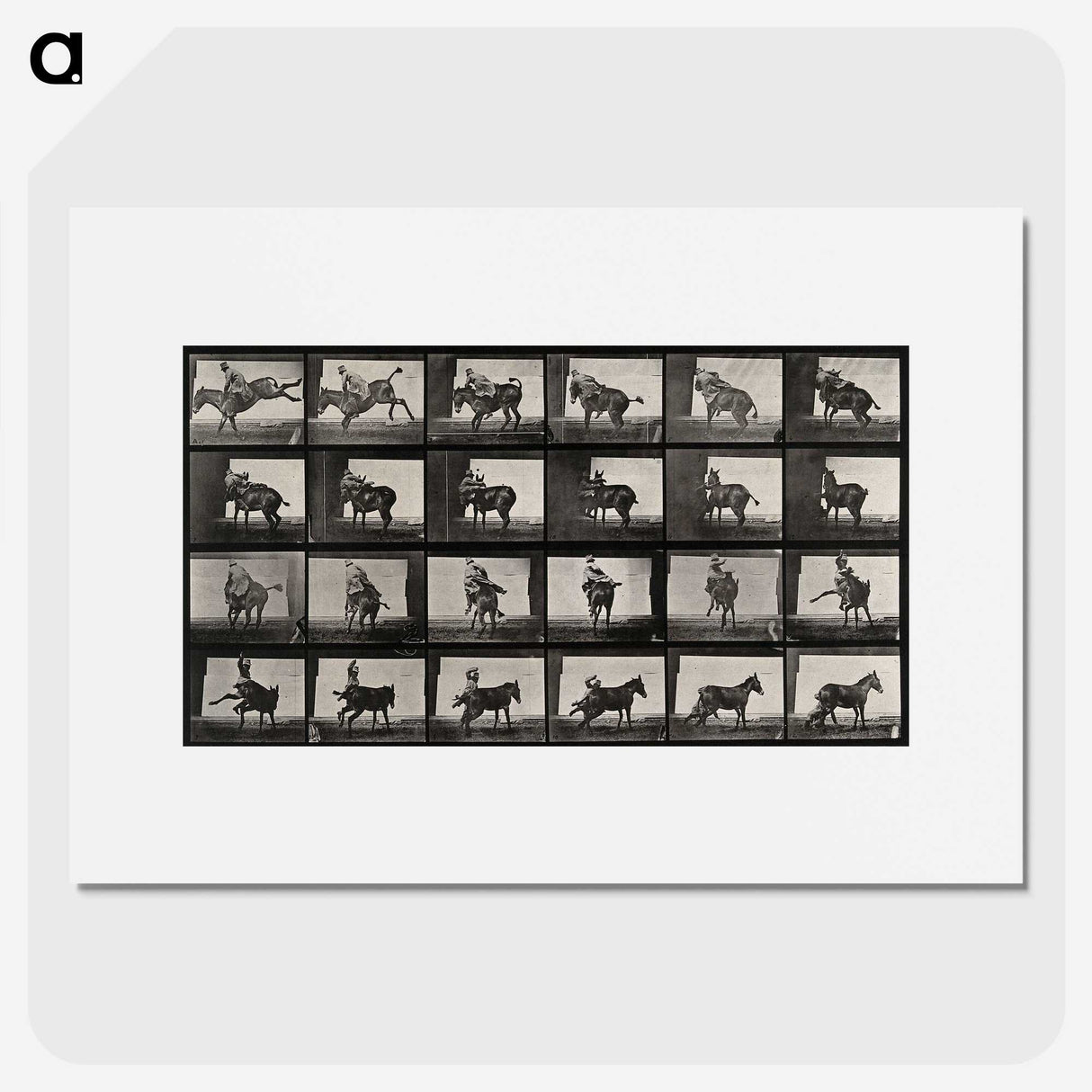 2-12_Eadweard-Muybridge_picture