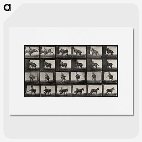 2-12_Eadweard-Muybridge_picture
