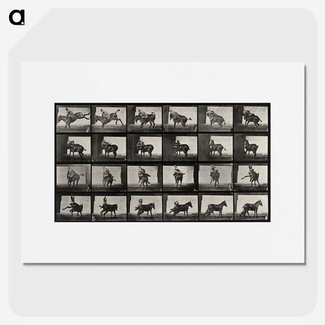 2-12_Eadweard-Muybridge_picture