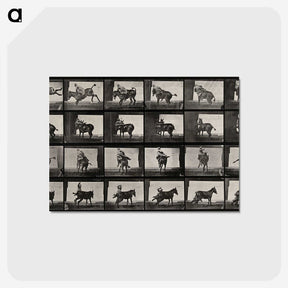 2-12_Eadweard-Muybridge_postcard