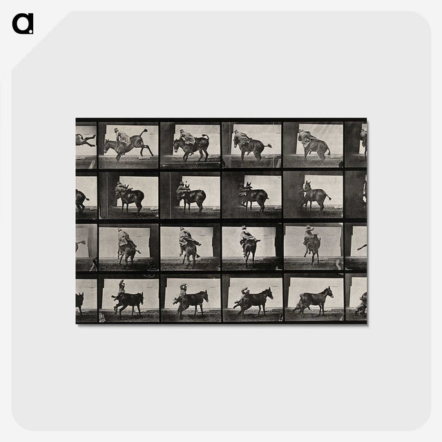 2-12_Eadweard-Muybridge_postcard