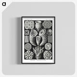 2-12_Ernst-Haeckel_blk-crop