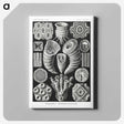 2-12_Ernst-Haeckel_canvas