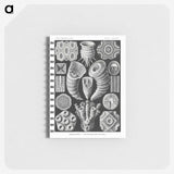 2-12_Ernst-Haeckel_memo