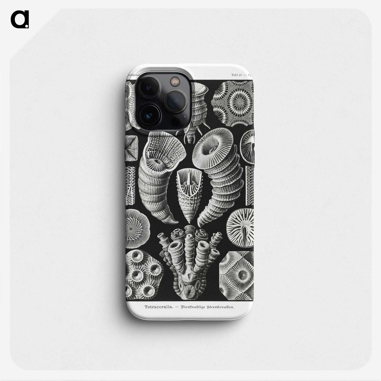 2-12_Ernst-Haeckel_phone