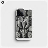 2-12_Ernst-Haeckel_phone