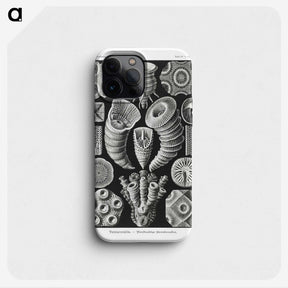 2-12_Ernst-Haeckel_phone