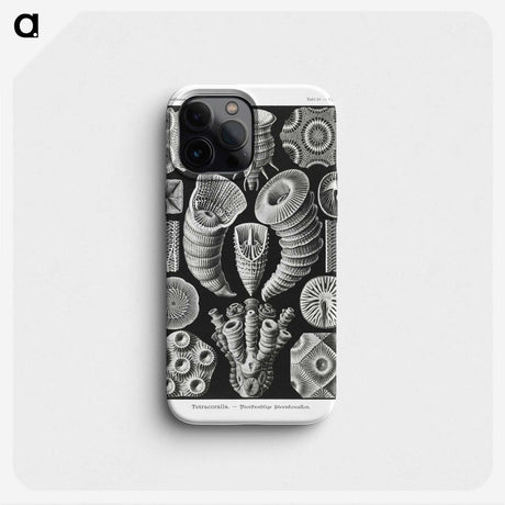 2-12_Ernst-Haeckel_phone