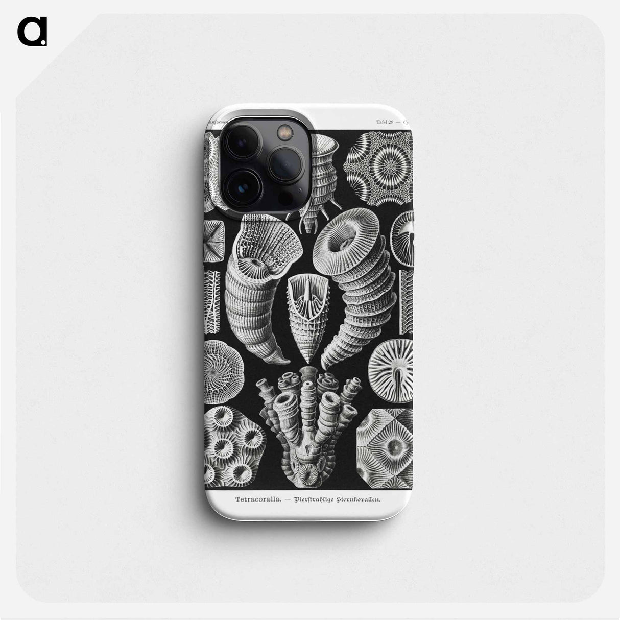 Tetracoralla–Bierstrahlige Sternkorallen - エルンスト ヘッケル Phone Case.