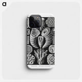 Tetracoralla–Bierstrahlige Sternkorallen - エルンスト ヘッケル Phone Case.