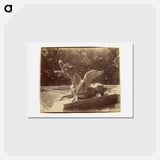 アートポストカード-Grand Trianon, Dragon par Hardy
 - ウジェーヌ アジェ Postcard.