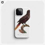 2-12_Francois-Levaillant_phone