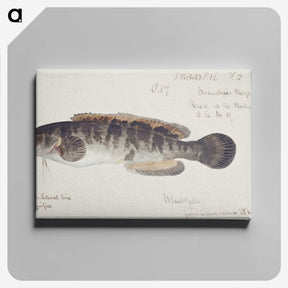 2-12_Frank-Edward-Clarke_canvas