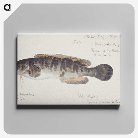 2-12_Frank-Edward-Clarke_canvas