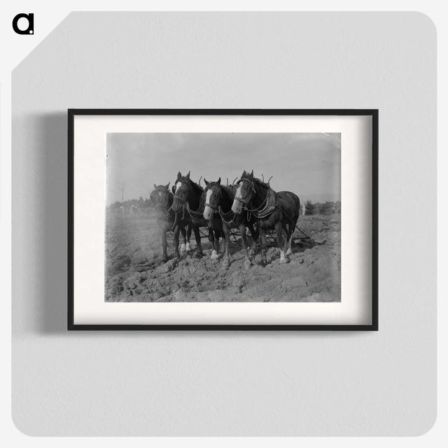 2-12_Frederick-Charles-Brockett_blk