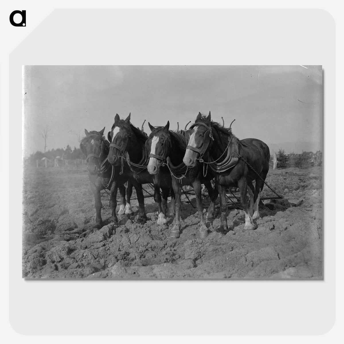 2-12_Frederick-Charles-Brockett_picture-crop