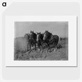 2-12_Frederick-Charles-Brockett_picture