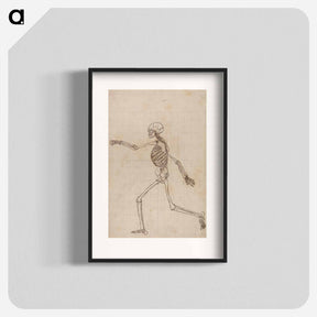 アートポスター-Human Skeleton, Lateral View
 - ジョージ スタッブス Poster.