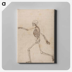アートパネル-Human Skeleton, Lateral View
 - ジョージ スタッブス Canvas.