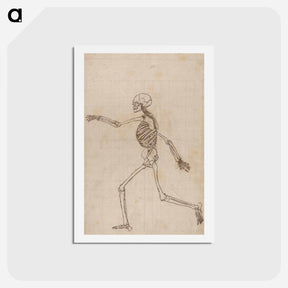 アートポストカード-Human Skeleton, Lateral View
 - ジョージ スタッブス Postcard.