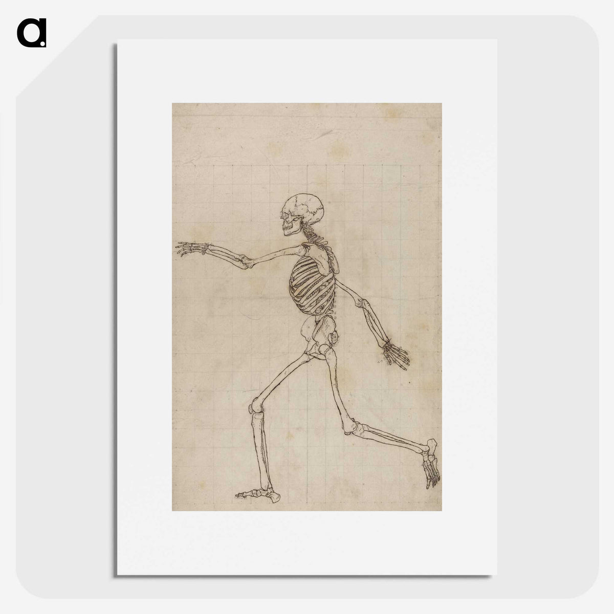 2-12_George-Stubbs_picture