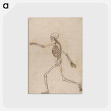 アートポストカード-Human Skeleton, Lateral View
 - ジョージ スタッブス Postcard.