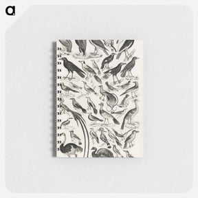 アートメモ帳-Ornithology
 - ゴールドスミスの生き生きとした自然 Memo.