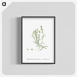 2-12_Histoire-des-Plantes-Grasses_blk-crop
