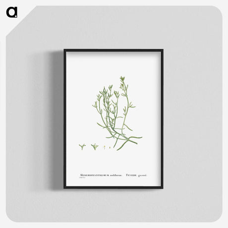2-12_Histoire-des-Plantes-Grasses_blk-crop