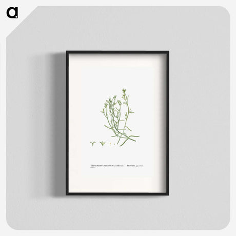 2-12_Histoire-des-Plantes-Grasses_blk