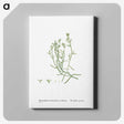 2-12_Histoire-des-Plantes-Grasses_canvas