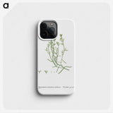 2-12_Histoire-des-Plantes-Grasses_phone