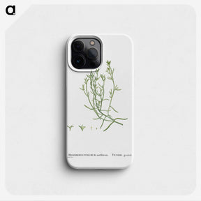 2-12_Histoire-des-Plantes-Grasses_phone