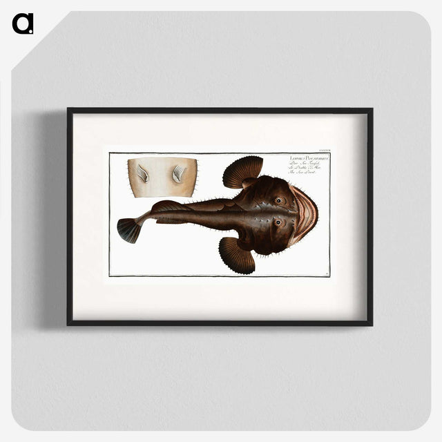 2-12_Ichtyologie-ou-Histoire-naturelle_blk