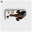 2-12_Ichtyologie-ou-Histoire-naturelle_phone