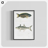 2-12_Indian-Zoology_blk-crop