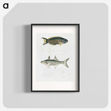 2-12_Indian-Zoology_blk