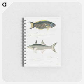 2-12_Indian-Zoology_memo