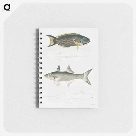 2-12_Indian-Zoology_memo
