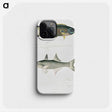 2-12_Indian-Zoology_phone