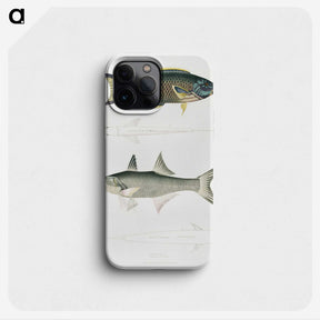 2-12_Indian-Zoology_phone