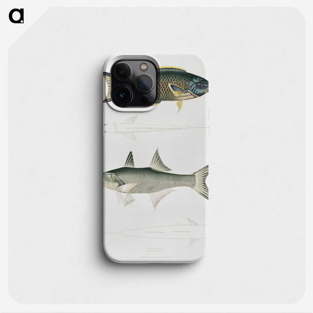 2-12_Indian-Zoology_phone