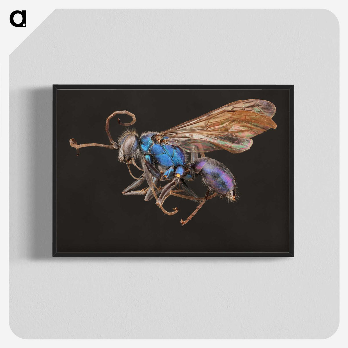 2-12_Insects-Unlocked-Project_blk-crop