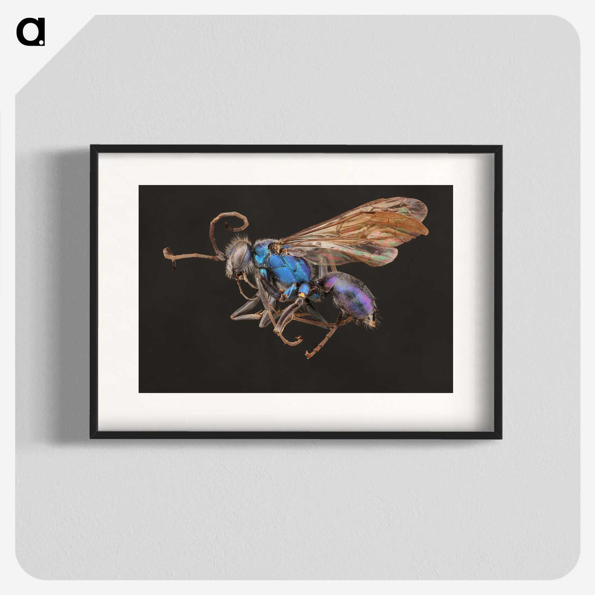 2-12_Insects-Unlocked-Project_blk