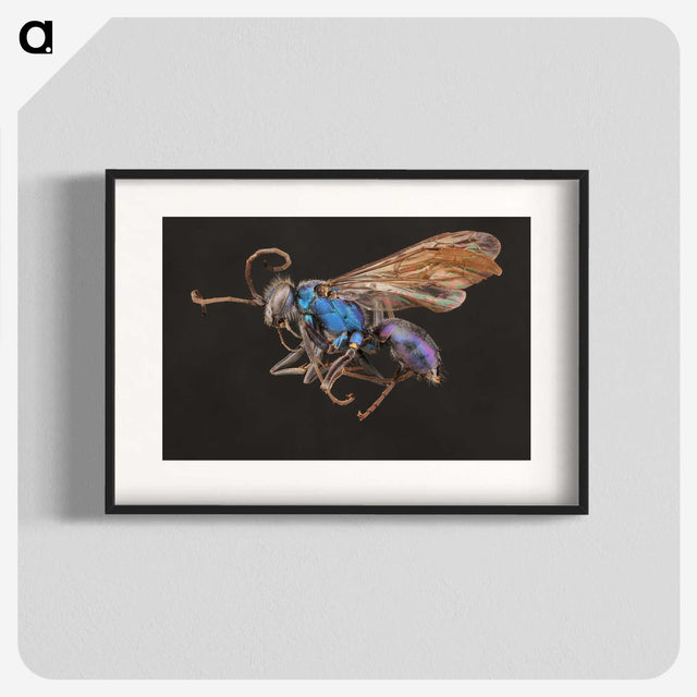 2-12_Insects-Unlocked-Project_blk