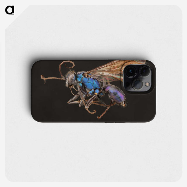 2-12_Insects-Unlocked-Project_phone