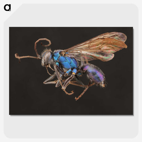 2-12_Insects-Unlocked-Project_picture-crop