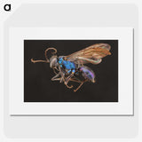 2-12_Insects-Unlocked-Project_picture